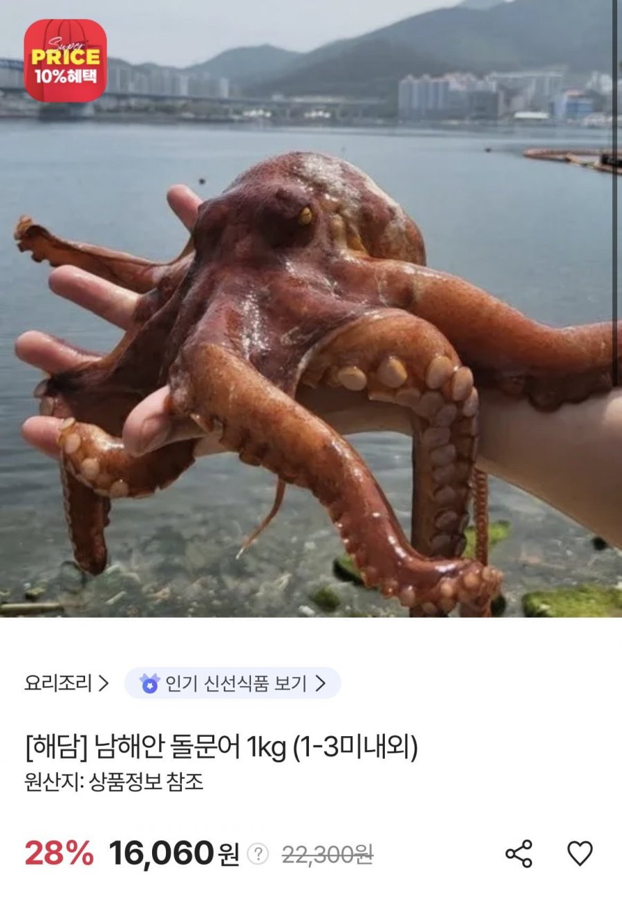 남해안 돌문어 1kg (1-3미내외) (페이코 14,776원/무료)