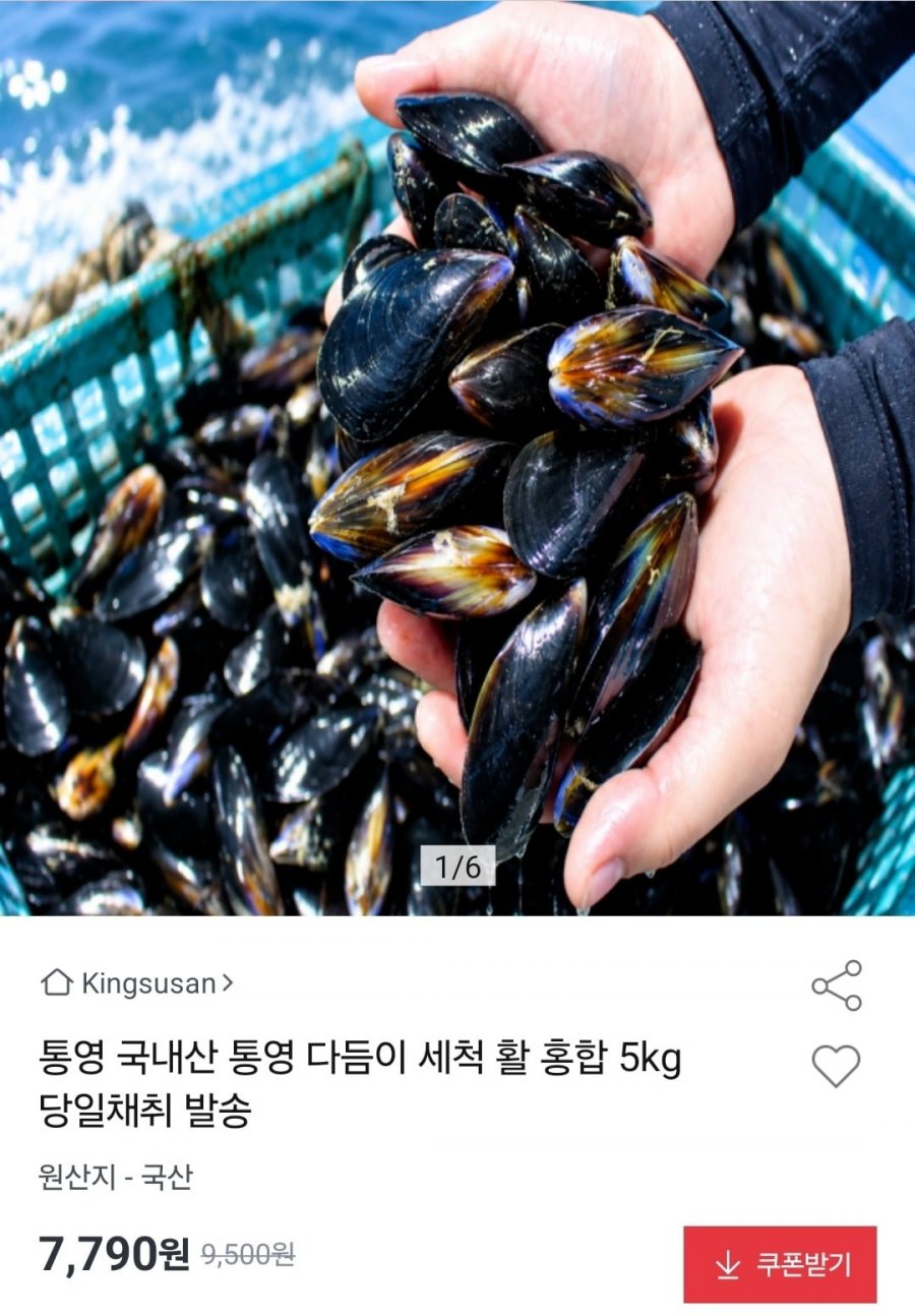 통영 다듬이 세척 활 홍합 5kg (7,790원/무료)