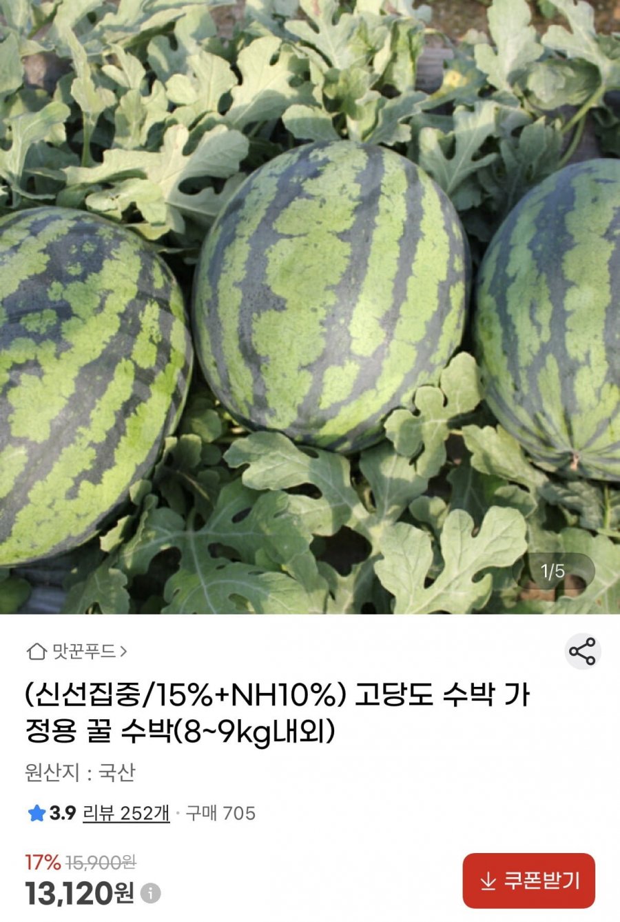 가정용 꿀수박 8~9kg 내외 (13,120원/무료)
