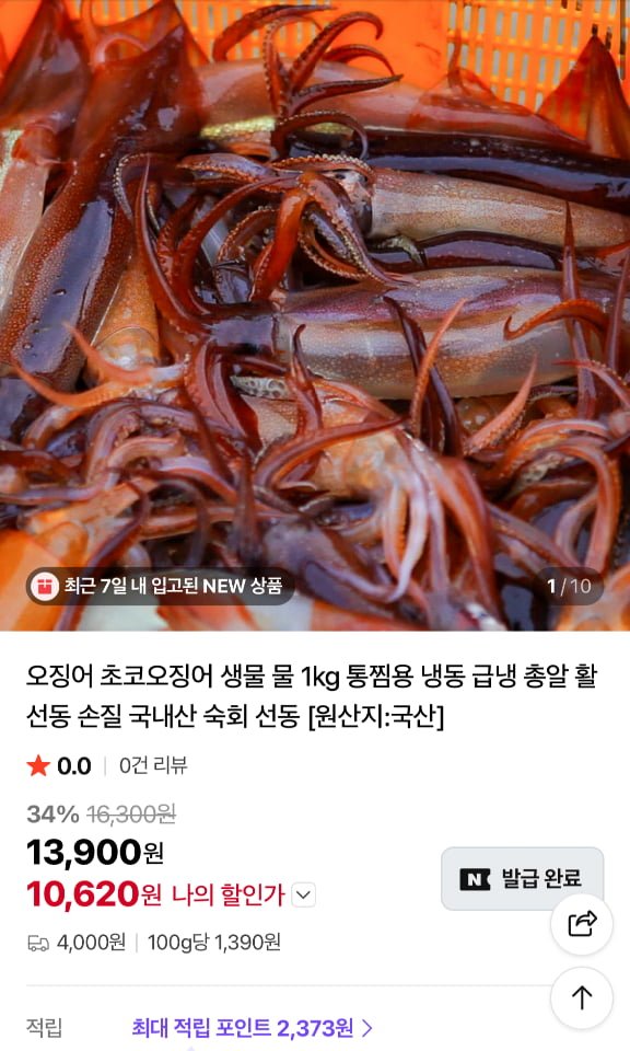 국산 생물 오징어(4-5미) 1kg (10,620원/네맴무배)