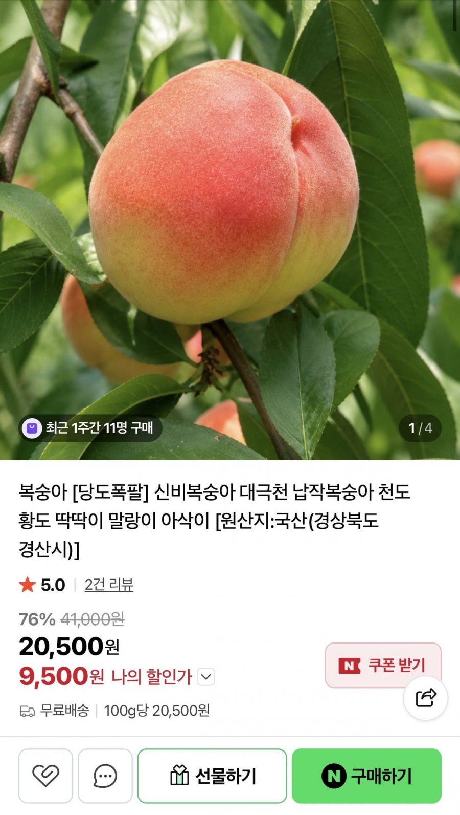 대극천 복숭아 1KG 소과 (9,500원/무료)