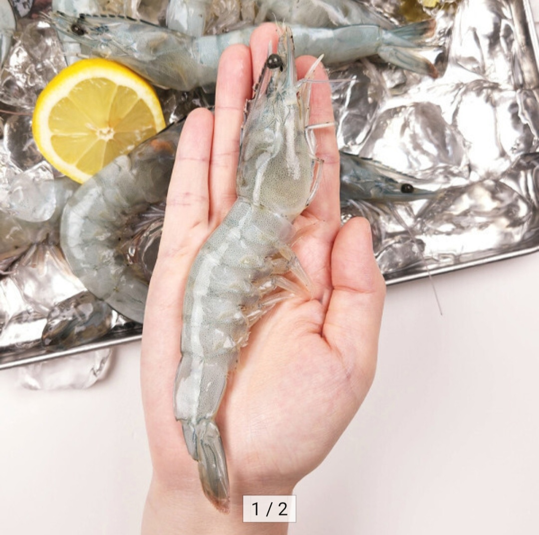 국내산 흰다리새우 1kg 40미 내외 (27,920원 / 무배)