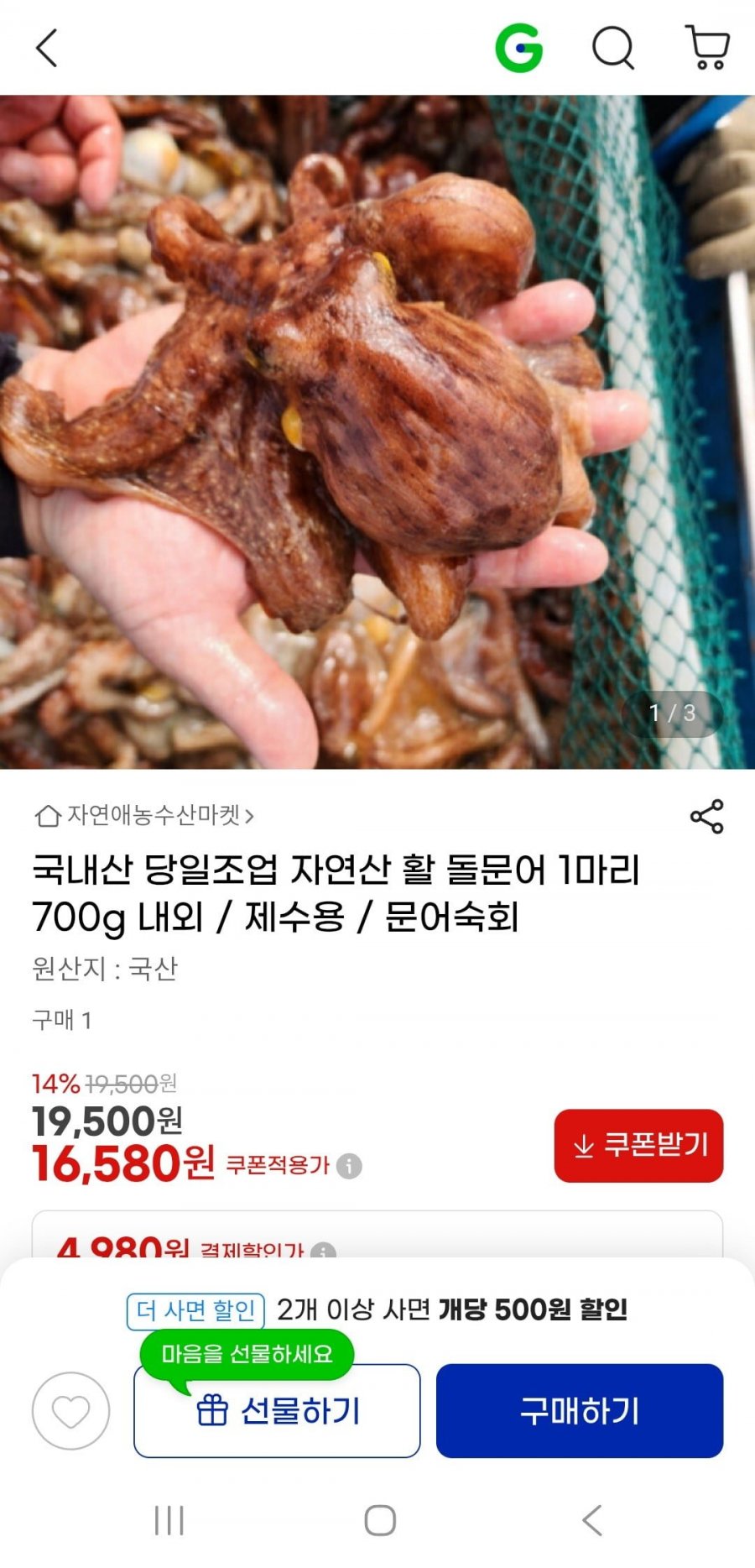 자연산 활 돌문어 1마리 700g 고정(16,580원/무배)