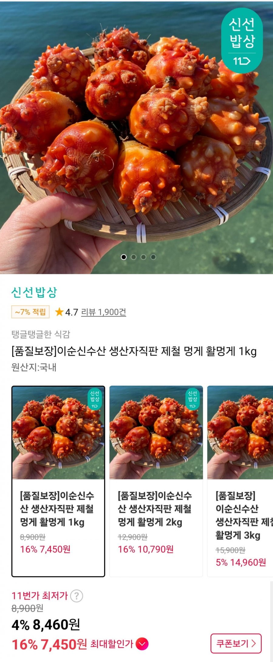 이순신수산 생산자직판 제철 멍게 활멍게 1kg (7,450원/무배)