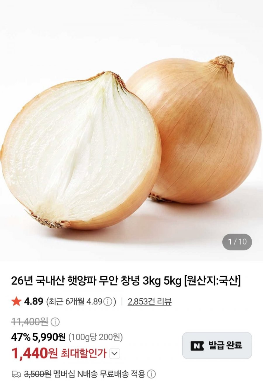 국내산 햇양파 무안 창녕 1.5kg 중사이즈(1,440/네멤무배)