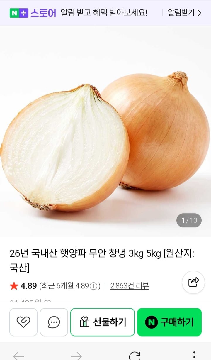 26년 국내산 햇양파 1.5kg 대 [ 1,490원 / 네멤무배 ]1