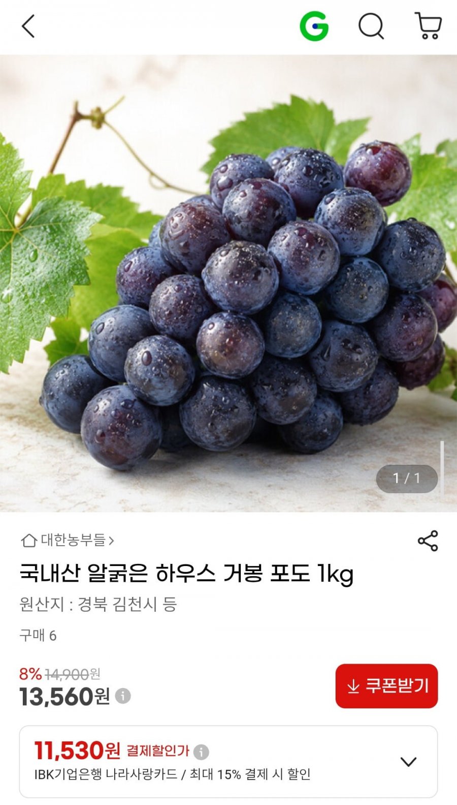 국내산 알굵은 하우스 거봉 포도 1kg (13,560원/무료)
