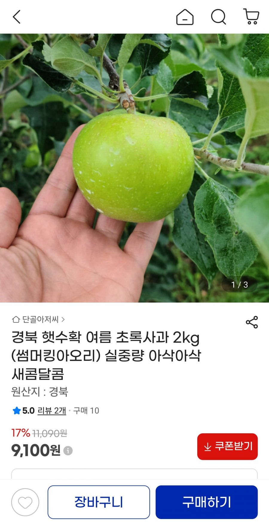 경북 햇수확 썸머킹아오리 2kg(9,100원/무료)