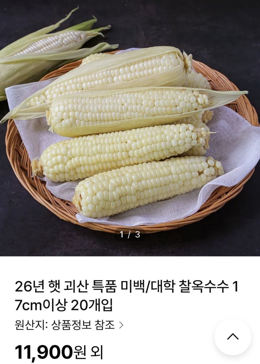 괴산 미백 찰옥수수 17cm이상 20개 (11,900원/선착무료)