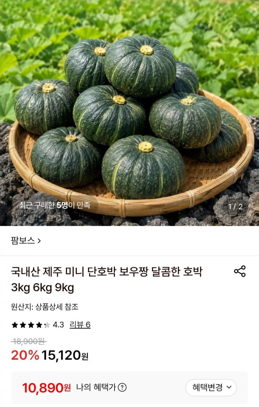 국내산 제주 미니 단호박 로얄과 6kg (10,890원/무료)