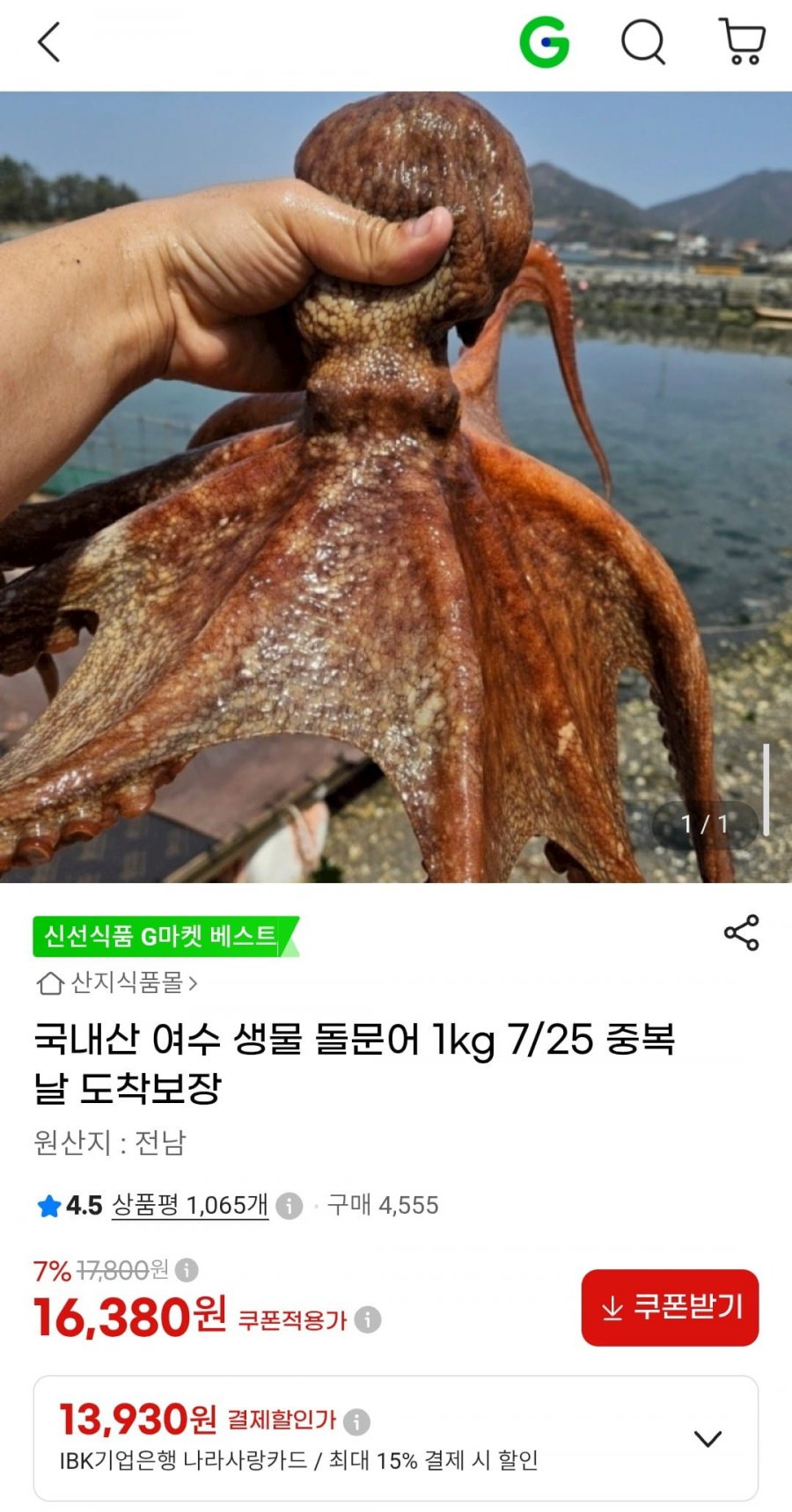 국내산 여수 생물 돌문어 1kg (16,380원/무료)