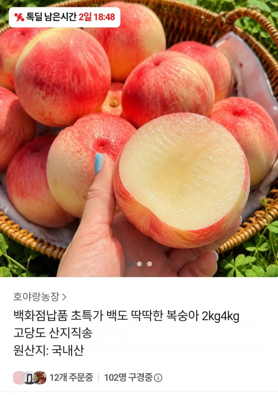 백도 딱딱이 복숭아 2kg (8,900원 / 무료배송)