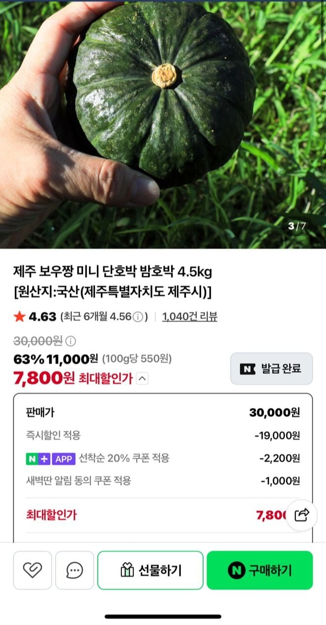 제주 보우짱 미니 단호박 밤호박 4.5kg (7,800원/네멤 무료)