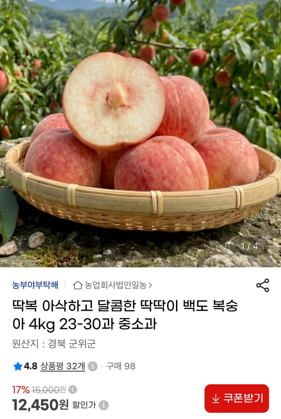 당일수확 딱딱이 백도 복숭아 4kg 23-30과 중소과 (12,450원/무료)