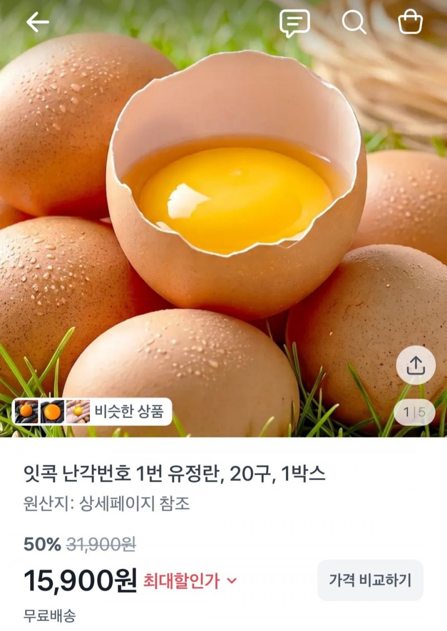 난각번호 1번 유정란 산림방사 20구 1박스(15,900원~/무료)