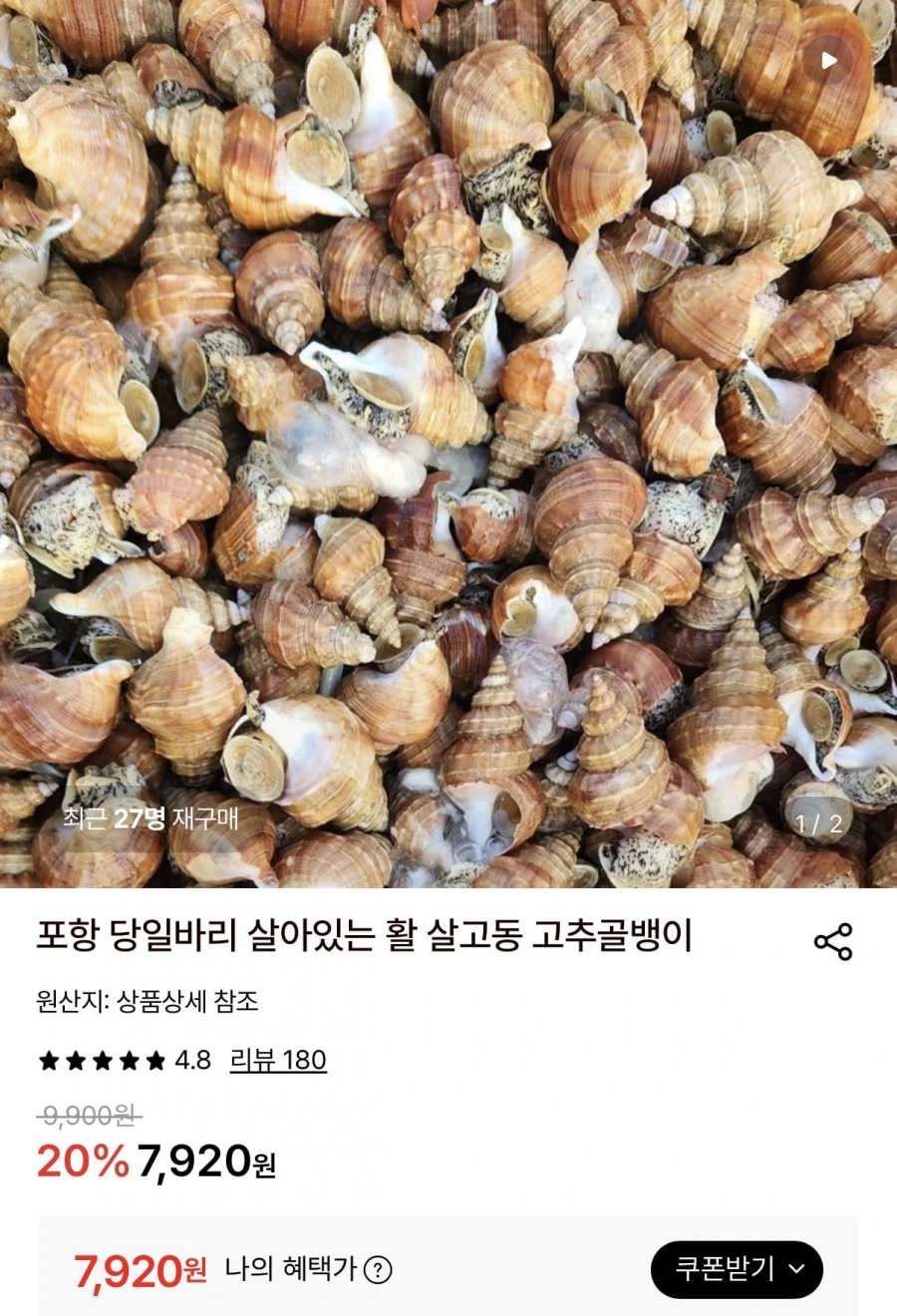 살아있는 활 살고동 고추골뱅이 1kg (7,920원/무료)