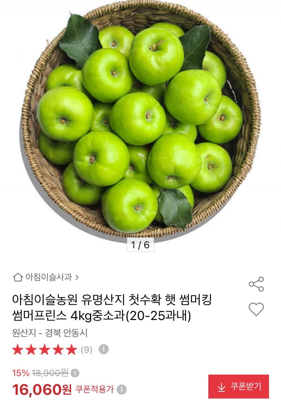 안동 썸머프린스 햇사과 4kg (16,060원/무배)