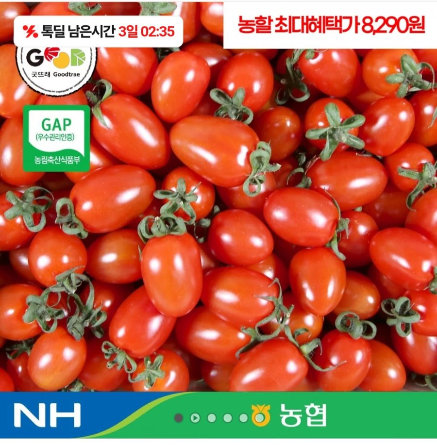 농협 국내산 대추방울토마토 2kg(1~3번과) (8,720원/무료)