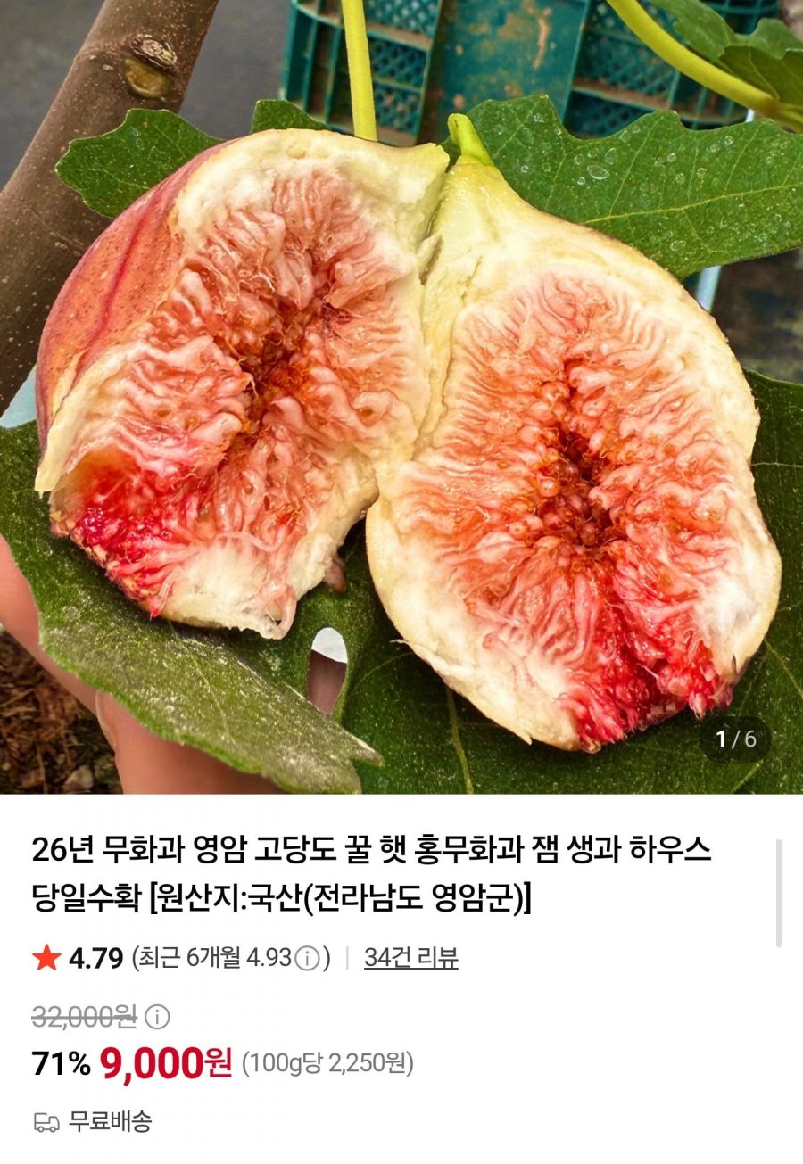 영암 무화과 400g (9,000원/무배)