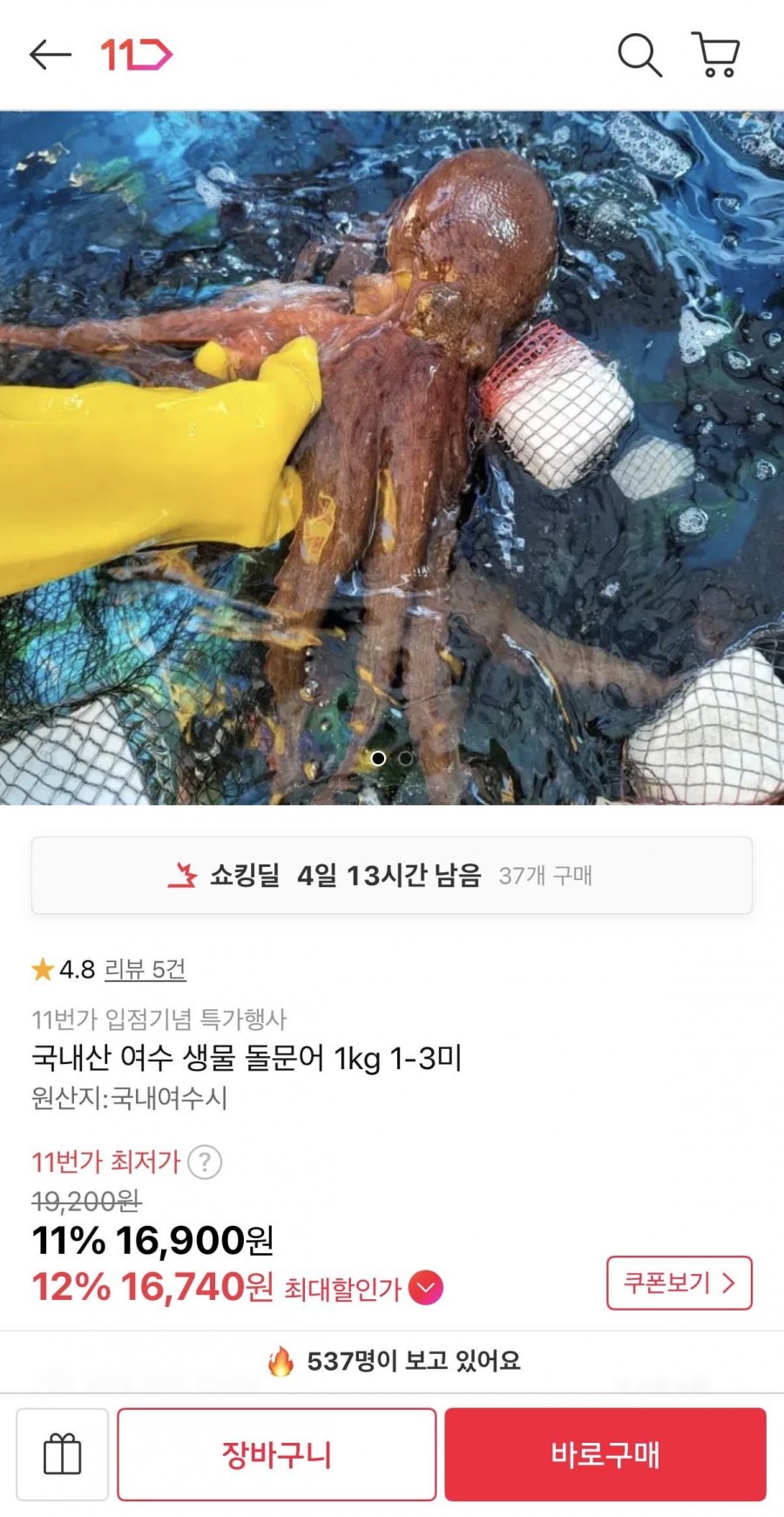 국내산 여수 생물 돌문어 1kg (16,900원/무배)
