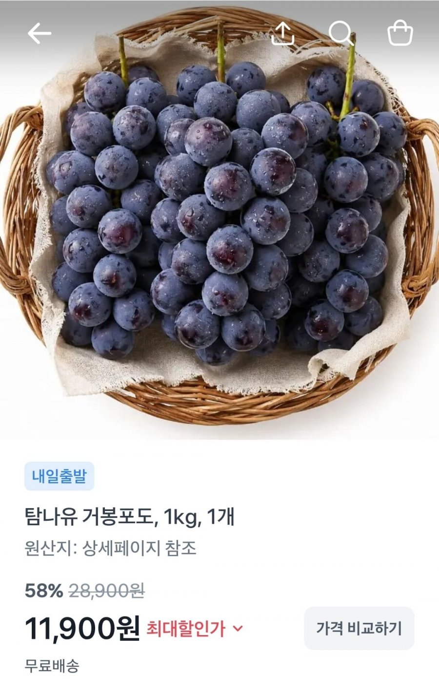 거봉포도 1kg (11,900원/무료)