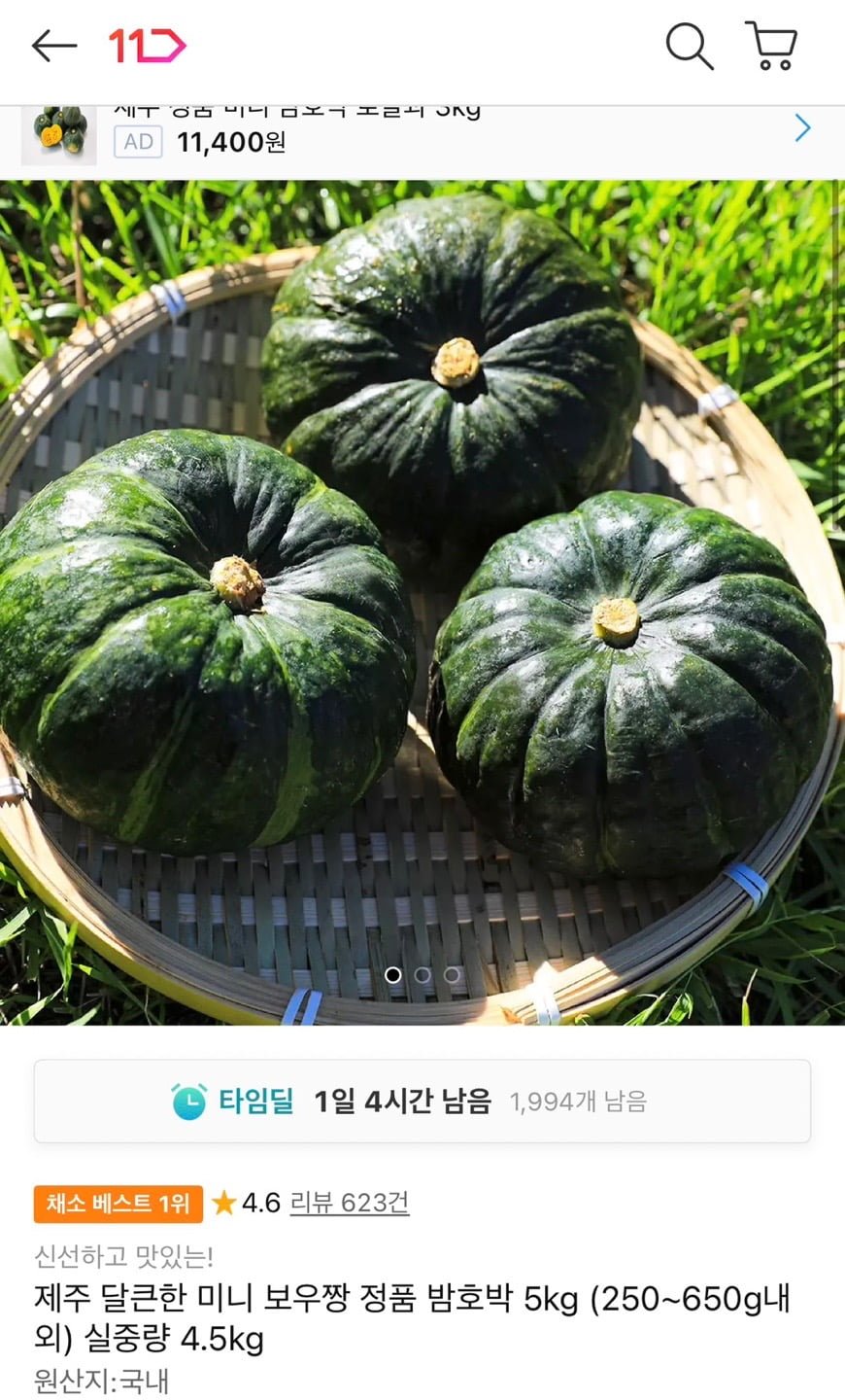 제주 미니 보우짱 밤호박 5kg (250~650g내외) 실중량 4.5kg (11,680원/무료)