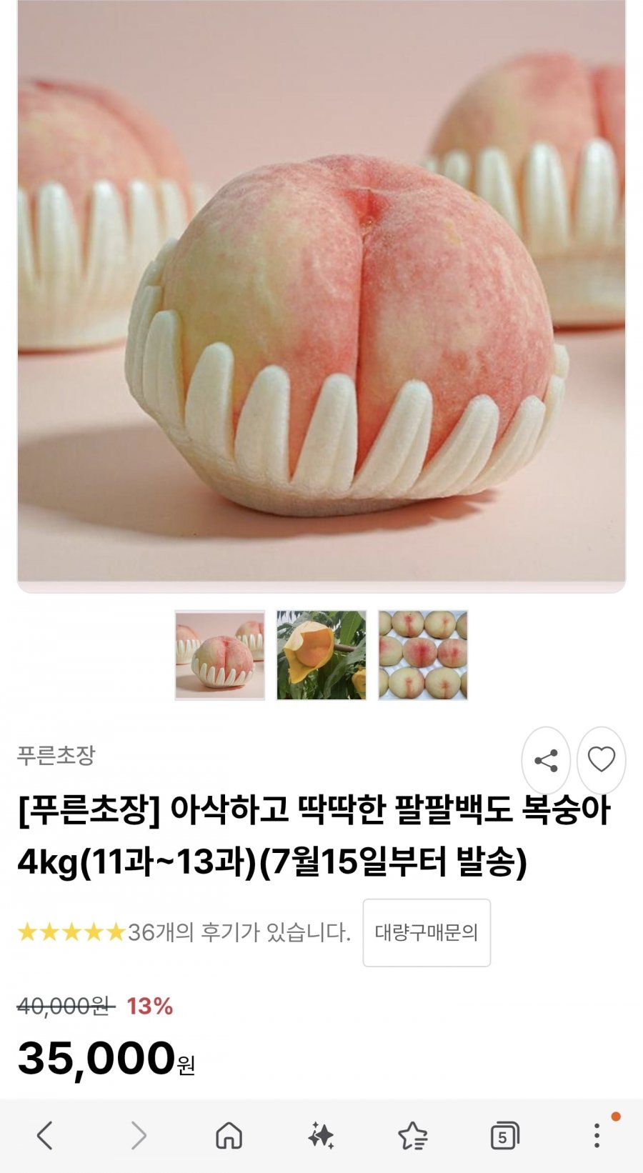 아삭하고 딱딱한 팔팔백도 복숭아 4kg11과~13과(35,000원/무배)
