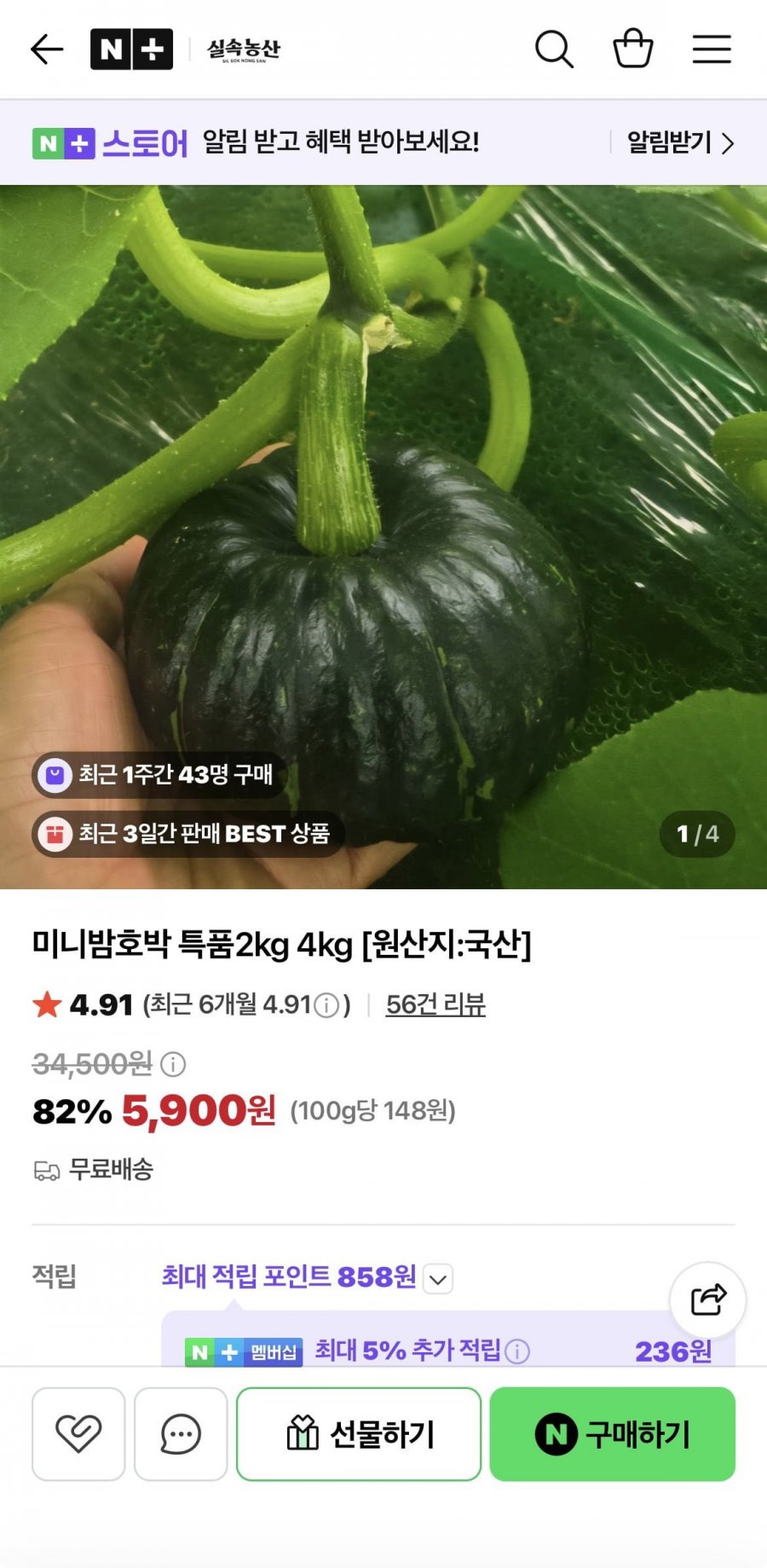 미니밤호박 특품 2kg (5,900원/무료)