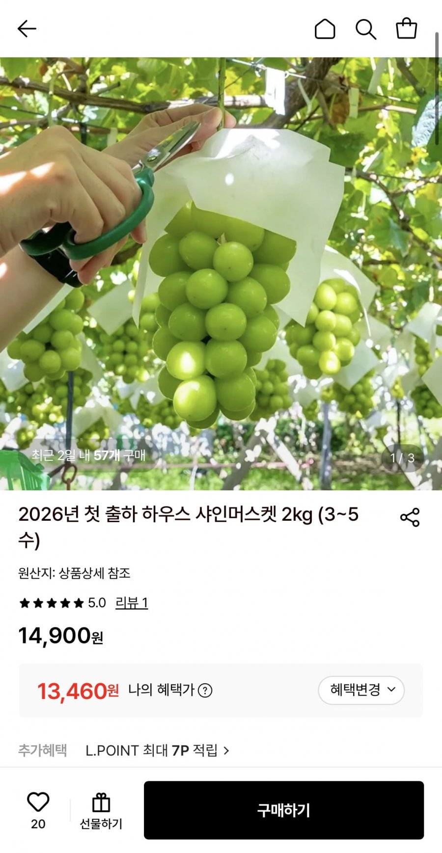 국내산 샤인머스켓 2kg (13,460원/무료)