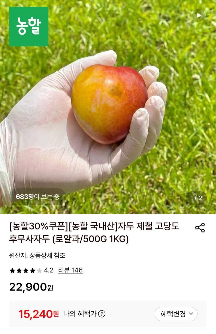 고당도 후무사 자두 로얄과 1kg (15,240원/무배)