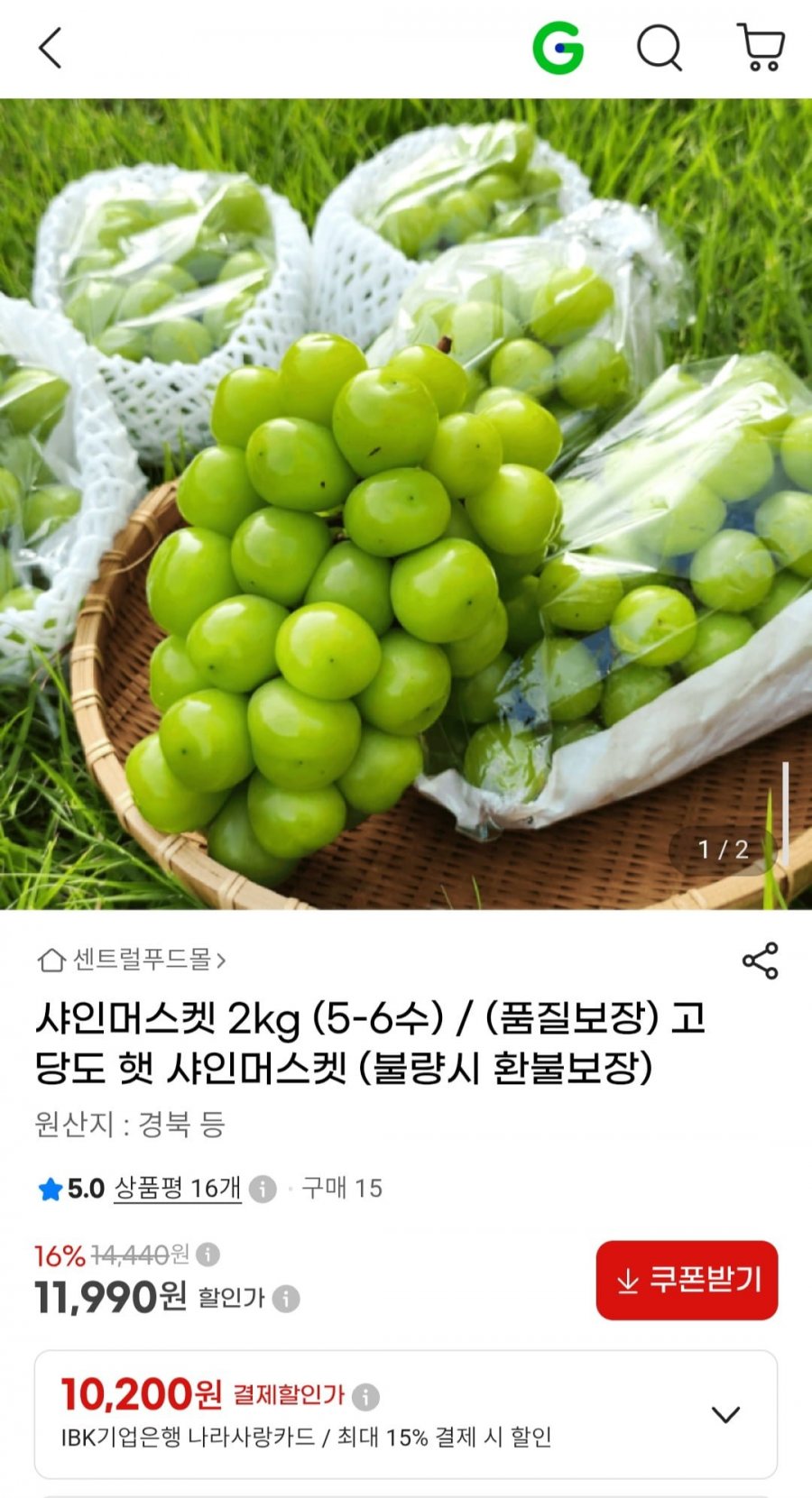샤인머스켓 2kg (5-6수) (11,990원/무료)