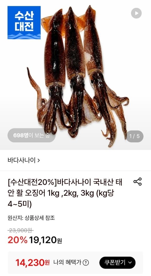 태안 활 오징어 1kg 4~5미 (14,230원/무료)
