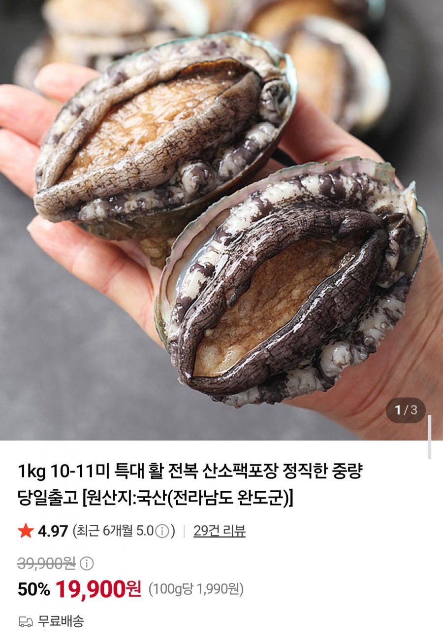 국내산 활 전복 10~11미 1kg (19,900원/무배)