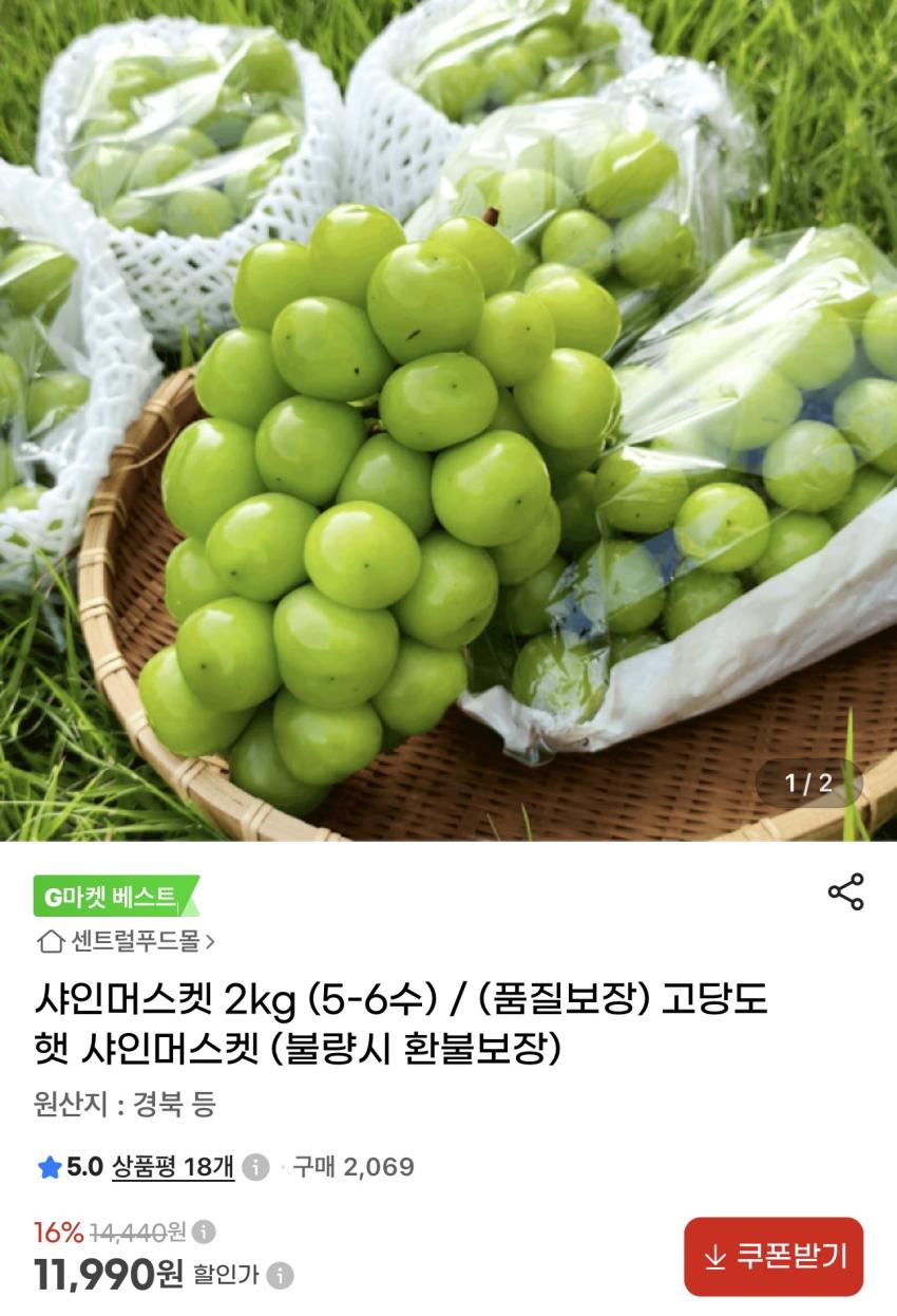 샤인머스켓 2kg (5-6수) 11,990원