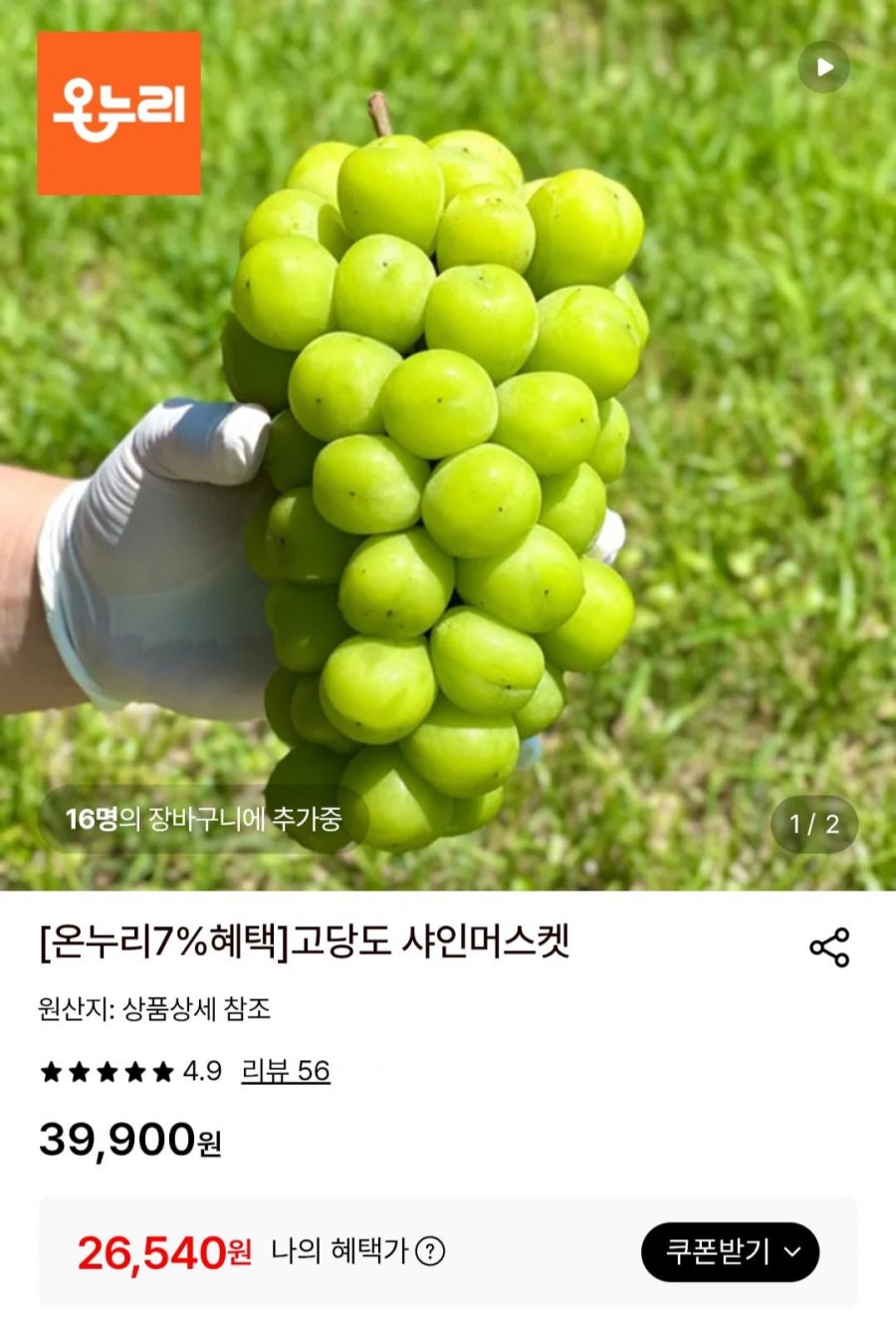 고당도 샤인머스켓 2.4kg 3수 (26,540원/무배)