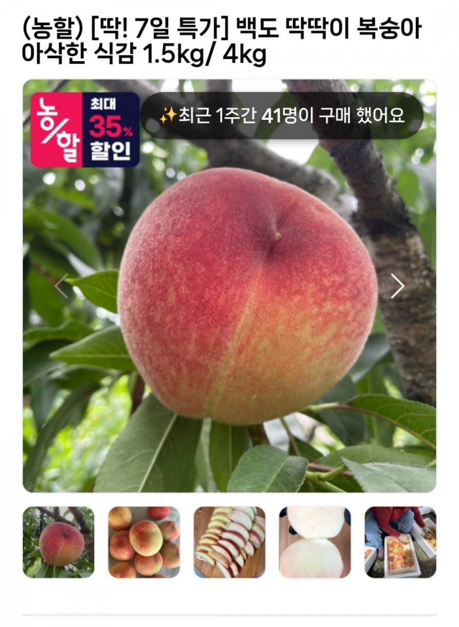 백도 딱딱이 복숭아 1.5kg (6,175원 / 무료)