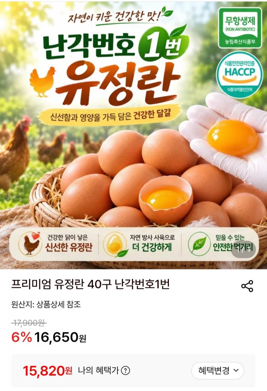 프리미엄 유정란 40구 난각번호 1번 (15,820원/무배)