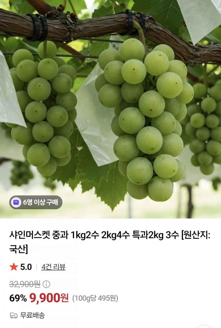 샤인머스켓 중과 1kg 2수 (9,900원/무료)