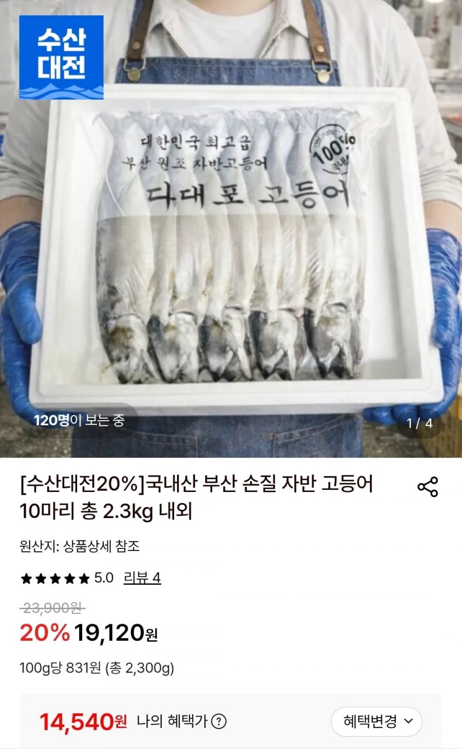 손질자반 고등어 10마리 (14,540원/무료)