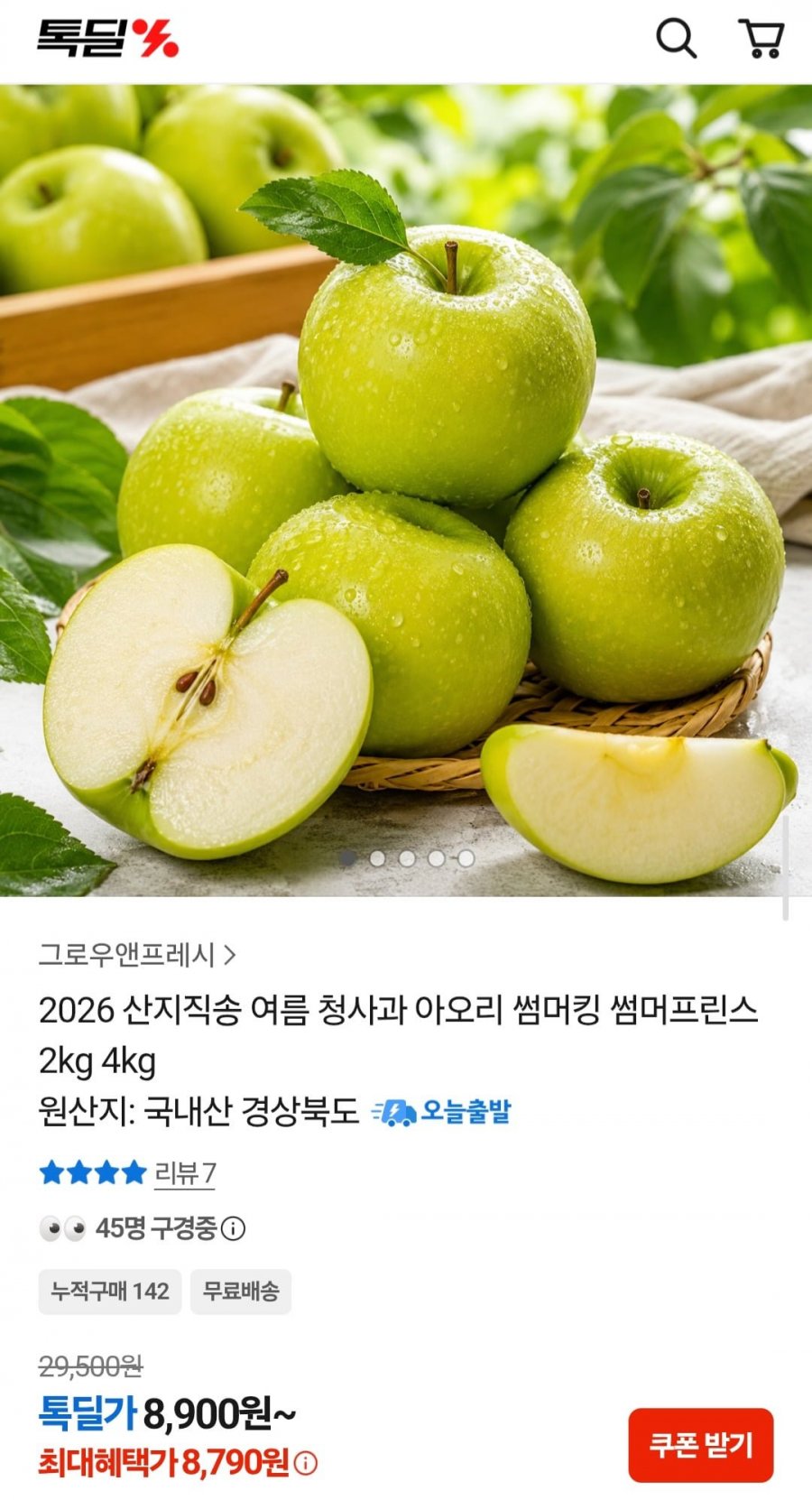2026 산지직송 여름 청사과 소과 2kg (11-15과) (8,900원/무배)