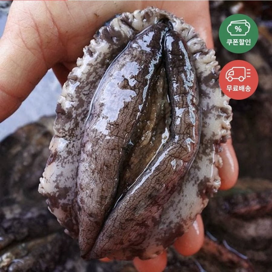 전복 1kg 7~9미 11,780원, 자포니카 초벌장어 600g 18,600원 (다양/무료)