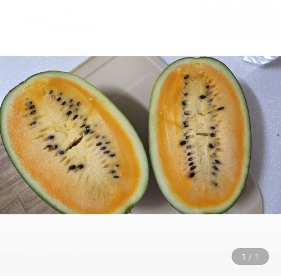 제주 망고수박 3kg 내외 2통 (14,360원/무료)