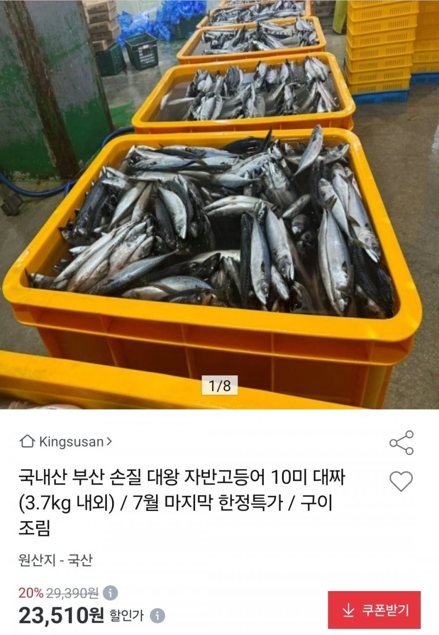 국내산 부산 손질 대왕 자반고등어 10미 (23,510원/무료)