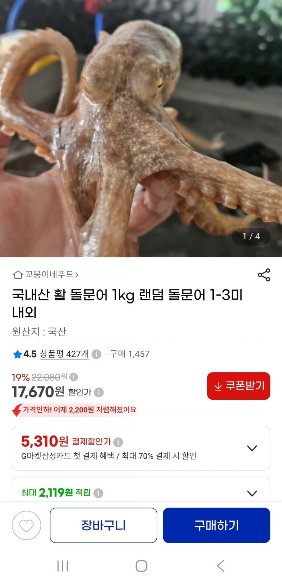 활돌문어 1kg 1~3미 랜덤(17,670원/무배)