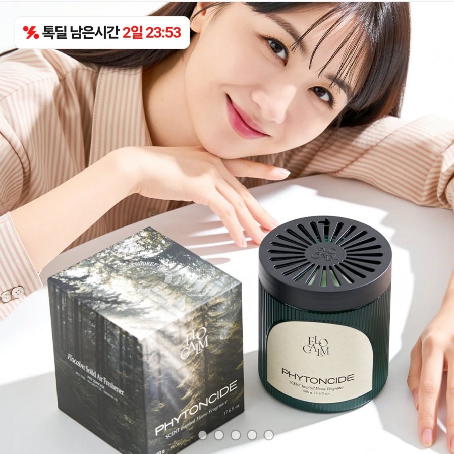 플로캄 대용량 고체탈취제 500g 1개입 (20,900원/무료)