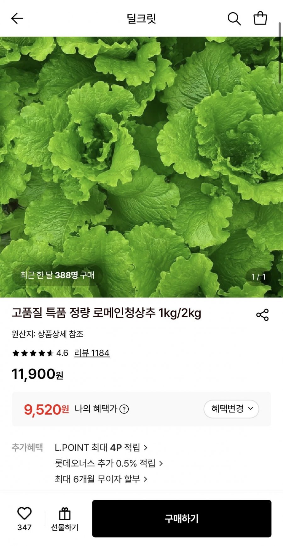 특품 정량 로메인청상추 1kg (9,520원/무료)