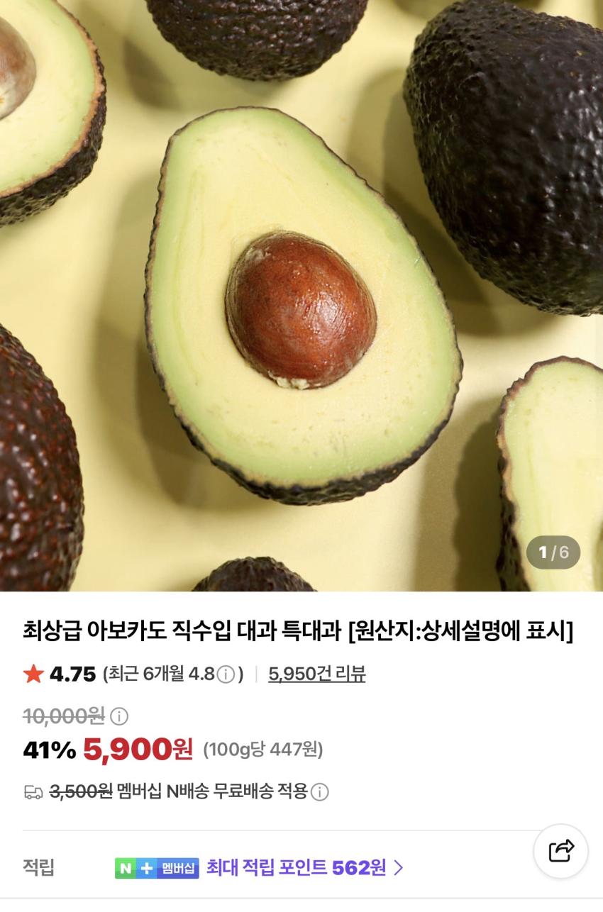 최상급 아보카도 직수입 특대과 6과 5,900원