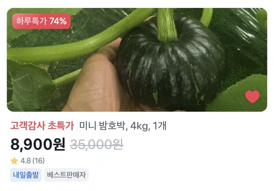 미니 밤호박 4kg (8,900원/무료)