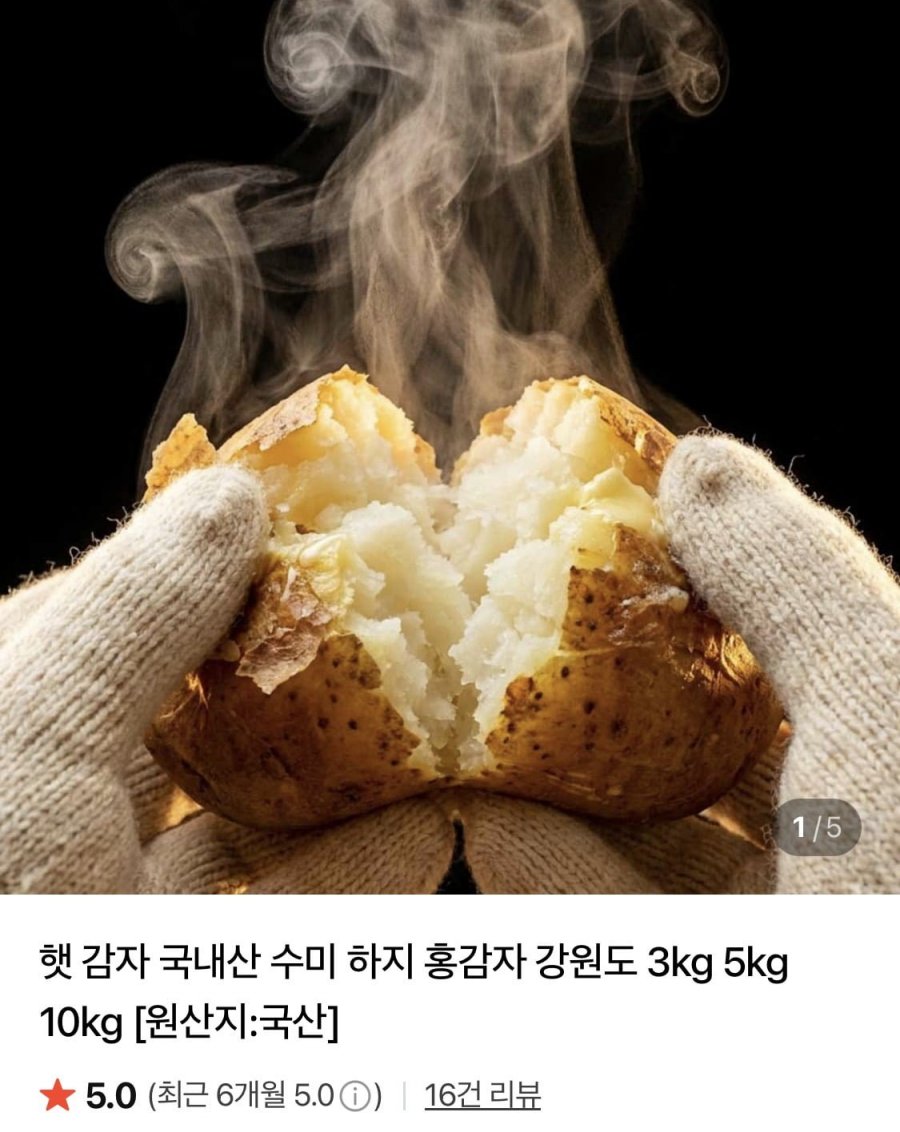 햇감자 특 1.5kg (2,440원/네멤무료)