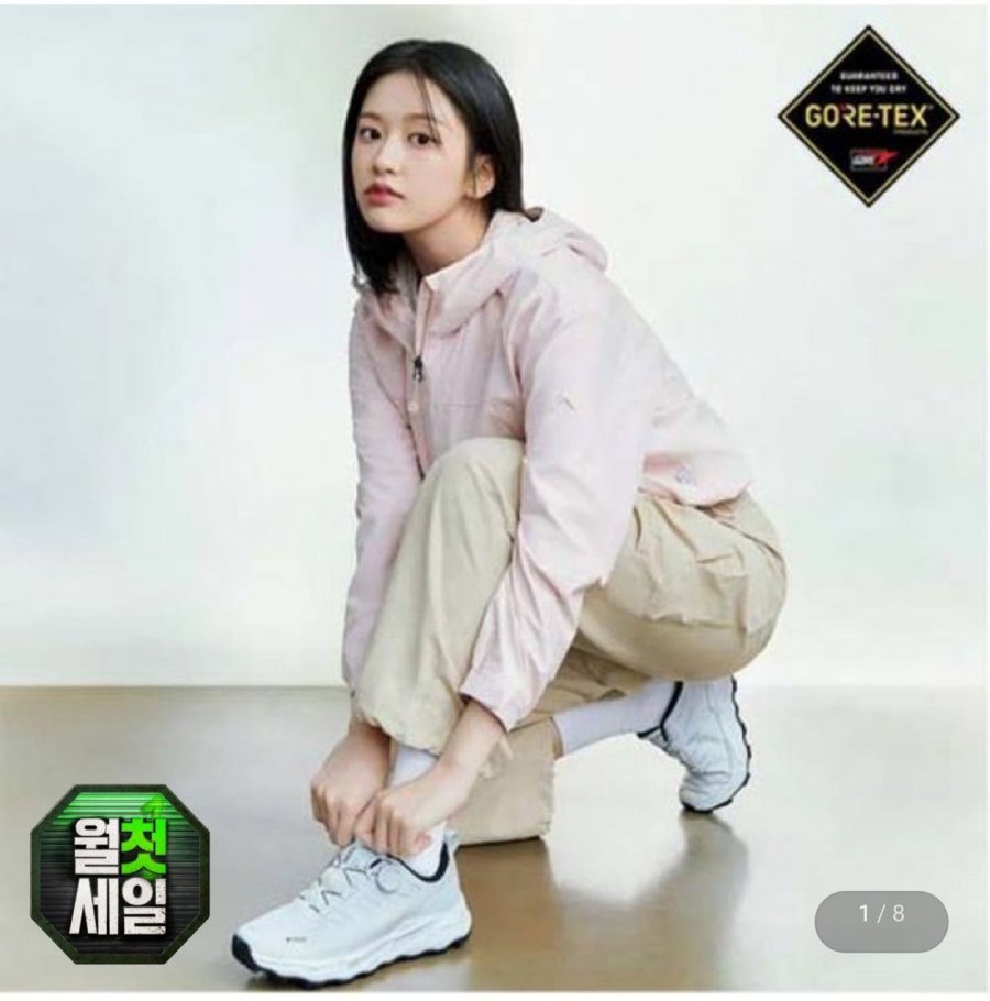 네파 공용 휘슬라이저 프로 고어텍스 트레킹화 (95,030원/무료)